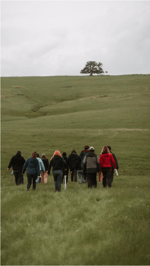 Hikers near a lone tree at Far View Ranch